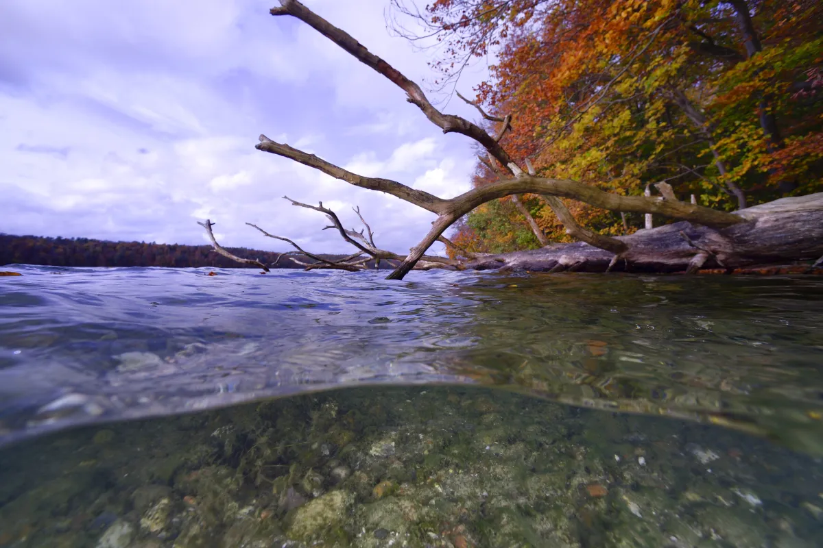 Flussbild-Original-vom-IGB-Solvin-Zankl-20201028_151035-2